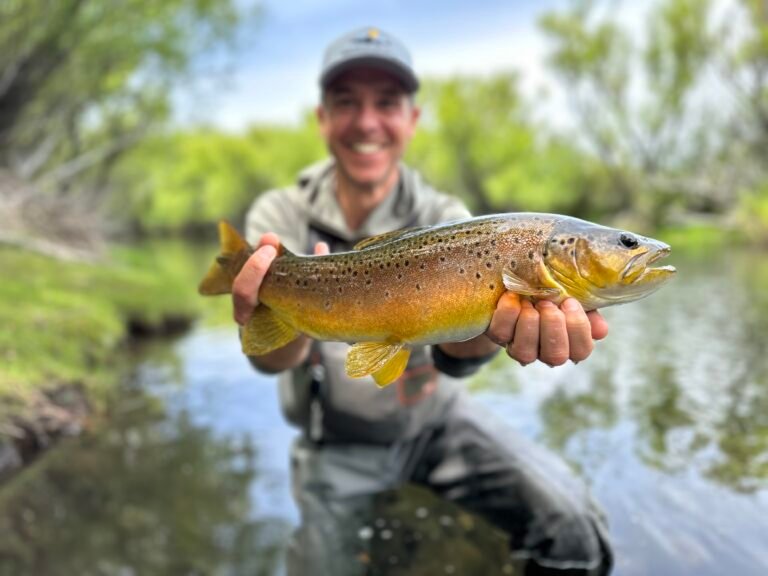 Best Time to Fly Fish in Argentine Patagonia, Month by Month