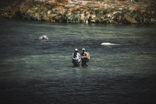 Two fly fishers wading a clear river in northern Neuquen