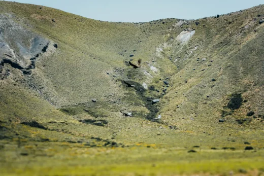 Green valley cutting through the Patagonian steppe