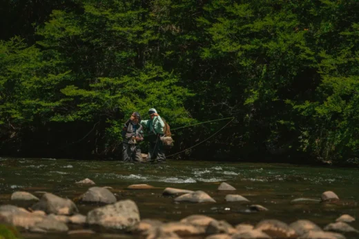 Fly fisher working a narrow river lined with willows