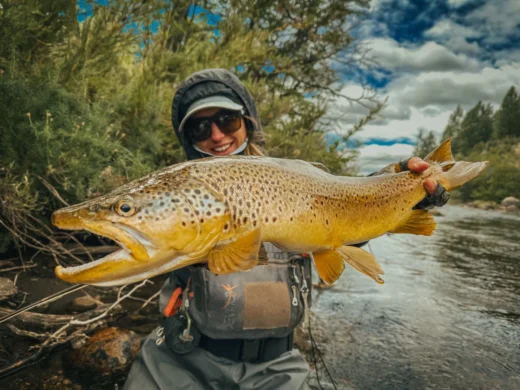 Golden brown trout held over the water before release