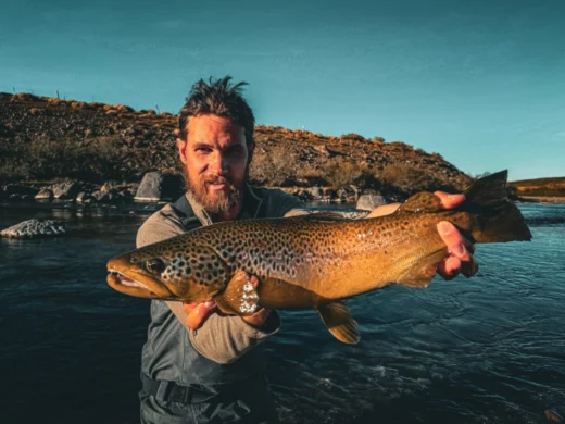 Large brown trout in an angler hands under the Patagonian sky