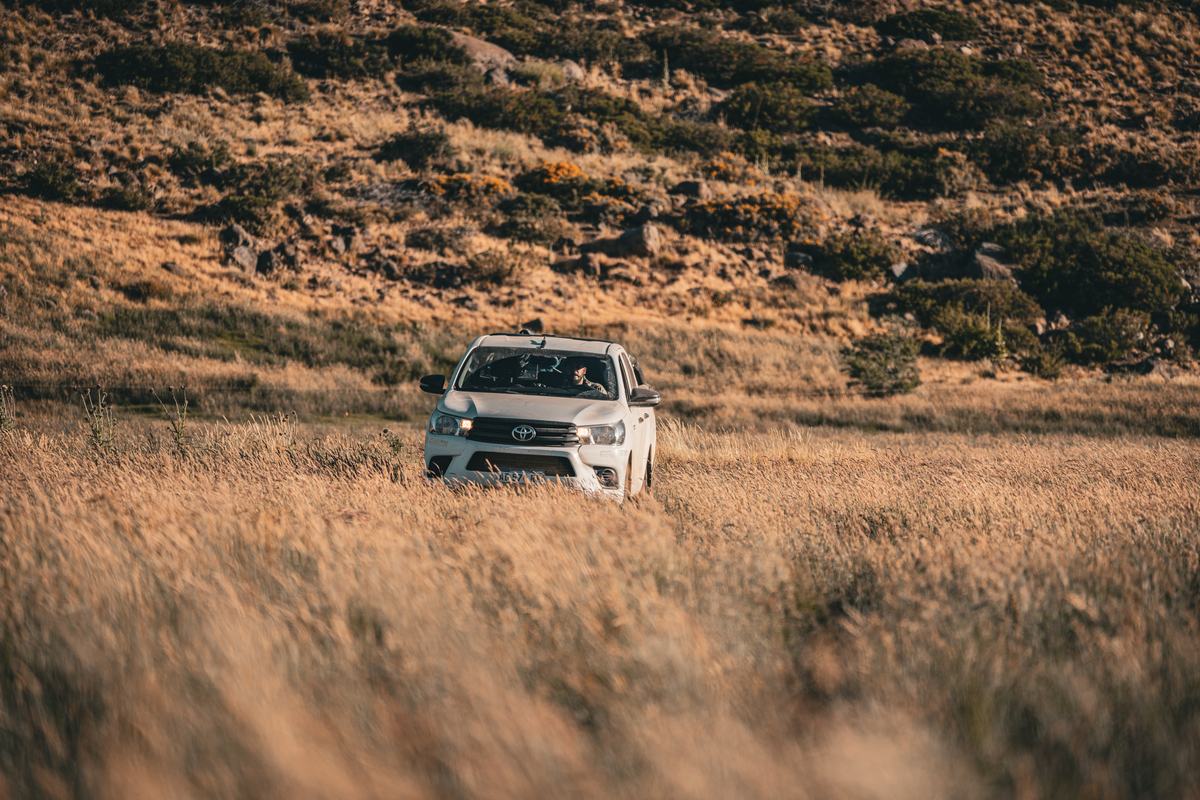 White pickup truck driving through tall golden grass below a rocky hillside on the road north, northern Patagonia